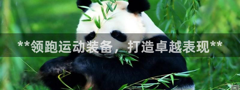 欧陆娱乐测试：**领跑运动装备，打造卓越表现**