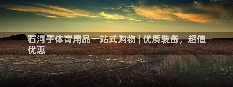 欧陆娱乐平台登陆地址在哪里：石河子体育用品一站式购物