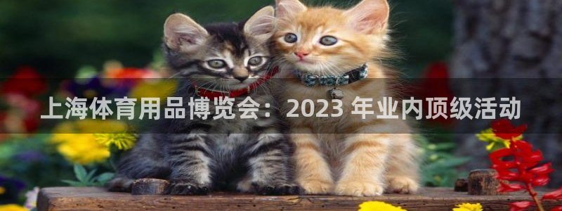 欧陆娱乐客服：上海体育用品博览会：2023 年业内顶
