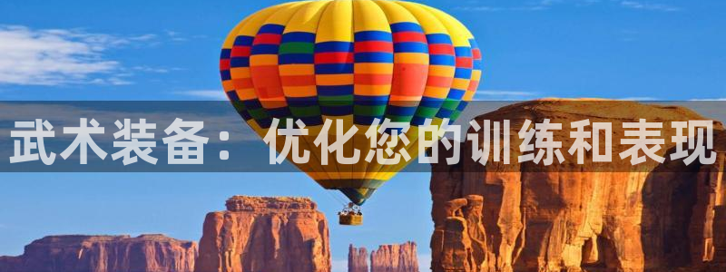 欧陆娱乐挂机项目：武术装备：优化您的训练和表现