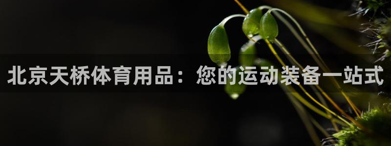 欧陆娱乐登录平台下载：北京天桥体育用品：您的运动装备