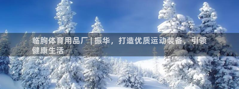 欧陆娱乐平台登录：临朐体育用品厂 | 振华，打造优质