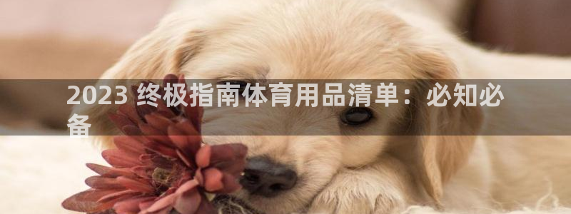 欧陆娱乐能赚钱吗：2023 终极指南体育用品清单：必