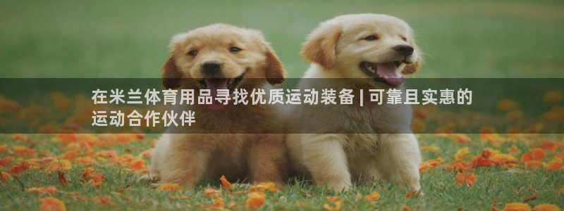 欧陆娱乐官网下载安装最新版苹果：在米兰体育用品寻找优