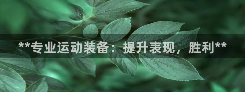 重庆欧陆娱乐有限公司电话：**专业运动装备：提升表现