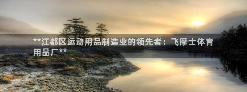 欧陆娱乐平台咋样啊安全吗：**江都区运动用品制造业的