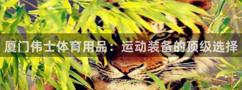 欧陆娱乐平台优势：厦门伟士体育用品：运动装备的顶级选