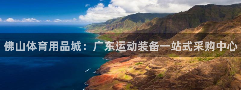 欧陆娱乐平台登录不上去怎么回事：佛山体育用品城：广东