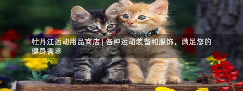 欧陆娱乐平台官网下载：牡丹江运动用品商店 | 各种运