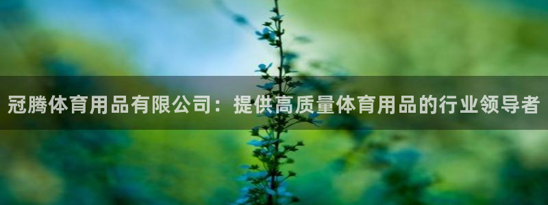 欧陆娱乐登录官网网址：冠腾体育用品有限公司：提供高质