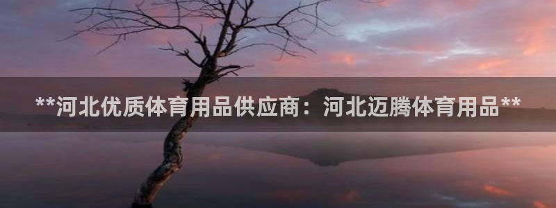 欧陆娱乐是那个旗下的品牌公司：**河北优质体育用品供