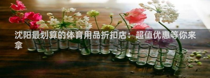 欧陆娱乐登陆官网网址：沈阳最划算的体育用品折扣店：超