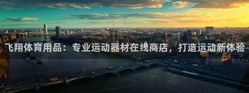 欧陆娱乐平台登陆地址在哪：飞翔体育用品：专业运动器材