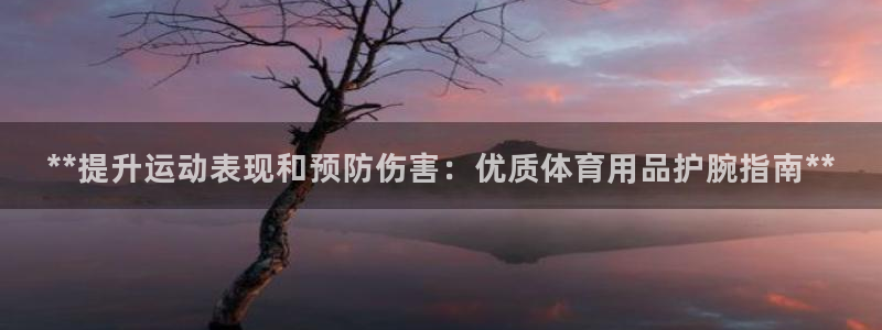 欧陆娱乐挂机项目：**提升运动表现和预防伤害：优质体