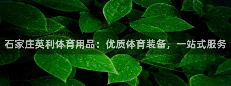 欧陆娱乐登录注册平台有哪些：石家庄英利体育用品：优质