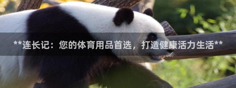 欧陆娱乐官网网址大全：**连长记：您的体育用品首选，