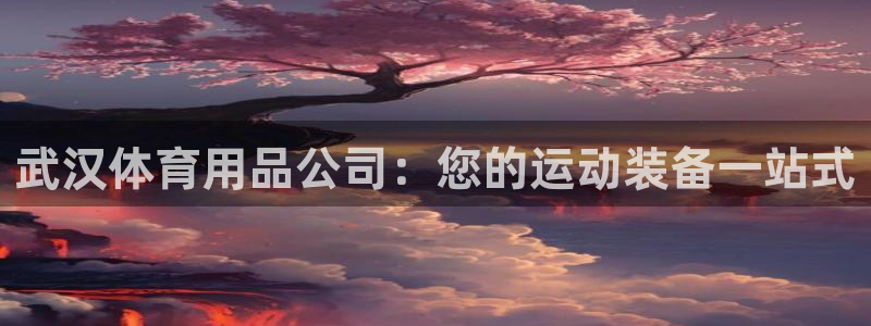 欧陆娱乐能不能玩手游：武汉体育用品公司：您的运动装备