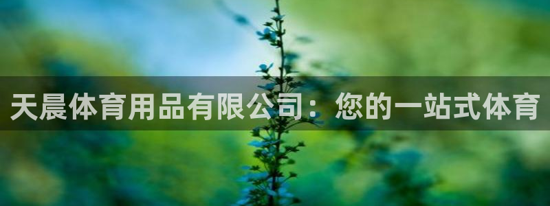 欧陆娱乐分分彩：天晨体育用品有限公司：您的一站式体育