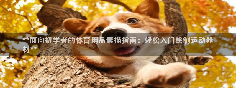 欧陆娱乐官网注册中心：**面向初学者的体育用品素描指