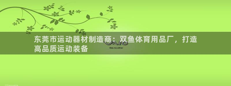 欧陆娱乐是正规平台吗安全吗可靠吗知乎：东莞市运动器材