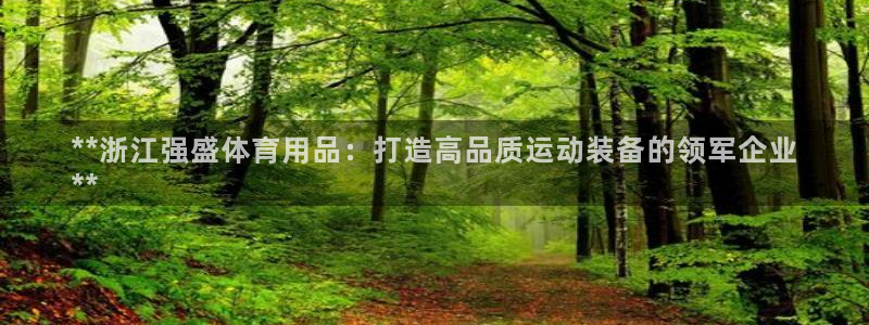 欧陆是什么平台：**浙江强盛体育用品：打造高品质运动