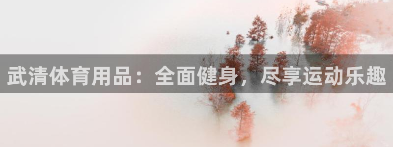 欧陆娱乐官网注册中心下载：武清体育用品：全面健身，尽