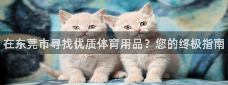 欧陆娱乐能提现嘛安全吗：在东莞市寻找优质体育用品？您