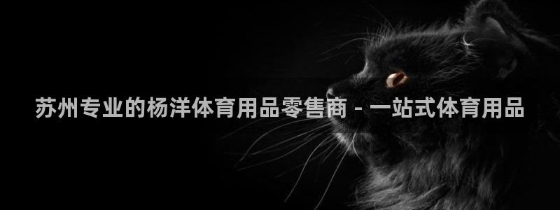 重庆欧陆娱乐有限公司地址：苏州专业的杨洋体育用品零售