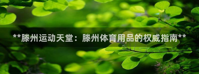 欧陆娱乐测试：**滕州运动天堂：滕州体育用品的权威指