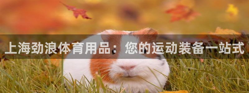 欧陆娱乐官网首页：上海劲浪体育用品：您的运动装备一站