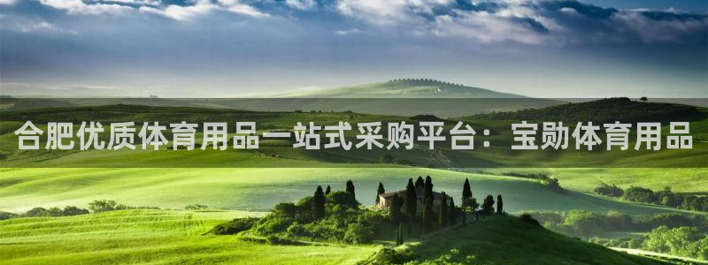 重庆欧陆娱乐有限公司电话：合肥优质体育用品一站式采购