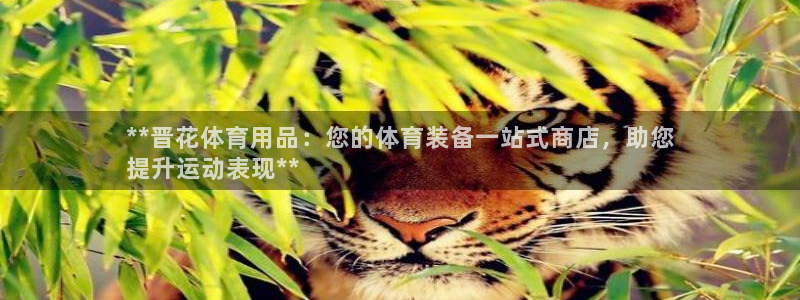 欧陆娱乐公司产品介绍：**晋花体育用品：您的体育装备