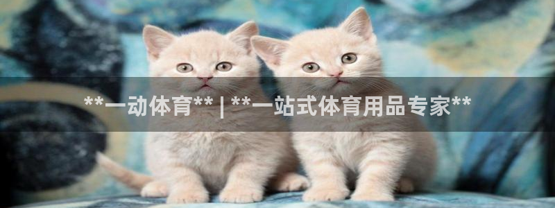 欧陆娱乐登录平台：**一动体育** | **一站式体