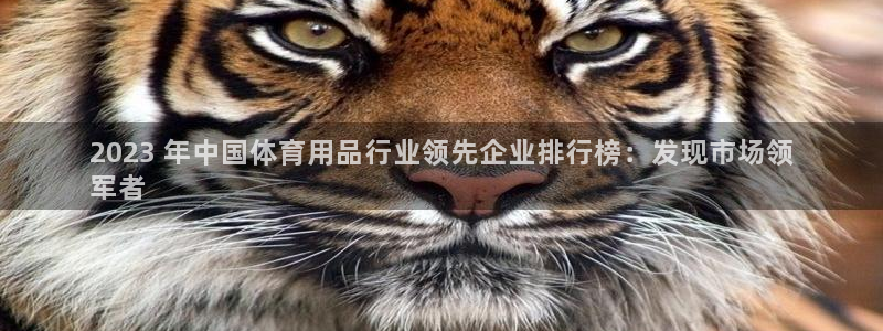 欧陆娱乐的故事：2023 年中国体育用品行业领先企业