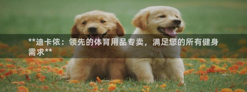 欧陆娱乐稳中：**迪卡侬：领先的体育用品专卖，满足您