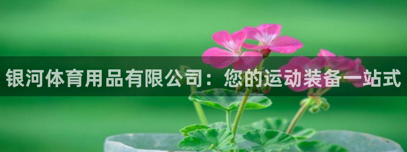 欧陆娱乐注册代理多少钱啊：银河体育用品有限公司：您的