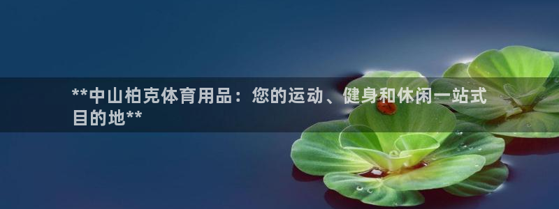 欧陆娱乐能赚钱吗现在：**中山柏克体育用品：您的运动