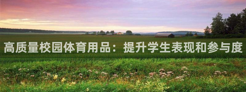 欧陆娱乐能赚钱吗：高质量校园体育用品：提升学生表现和