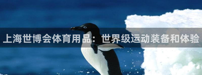 欧陆娱乐计划预测软件哪个好：上海世博会体育用品：世界