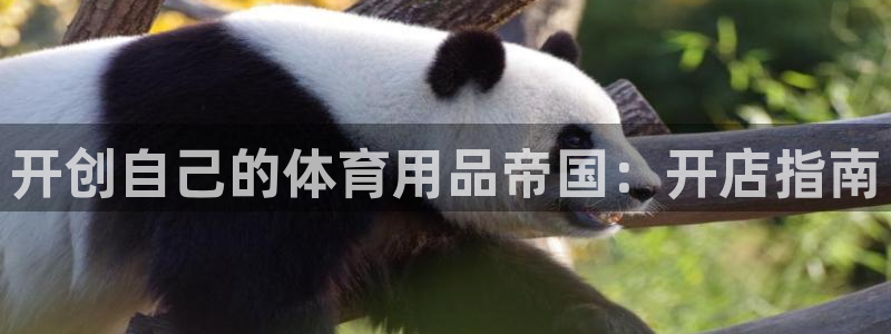 欧陆娱乐平台登陆地址在哪：开创自己的体育用品帝国：开