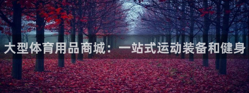 欧陆娱乐客服电话号码：大型体育用品商城：一站式运动装