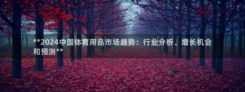欧陆娱乐访问：**2024中国体育用品市场趋势：行业