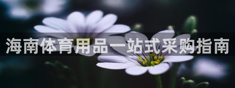 欧陆娱乐官网网址大全：海南体育用品一站式采购指南