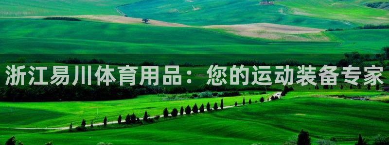 欧陆娱乐微信：浙江易川体育用品：您的运动装备专家