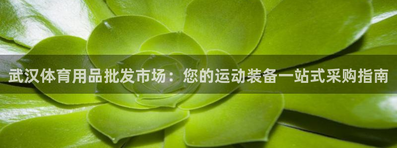 欧陆娱乐平台登录不上怎么办：武汉体育用品批发市场：您