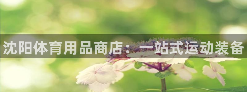 欧陆注册码：沈阳体育用品商店：一站式运动装备