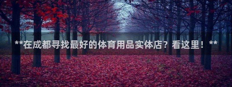 欧陆娱乐登录测速网站：**在成都寻找最好的体育用品实