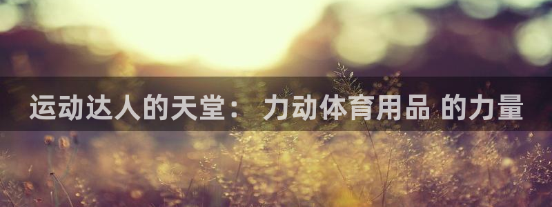 欧陆娱乐测速网站：运动达人的天堂： 力动体育用品 的