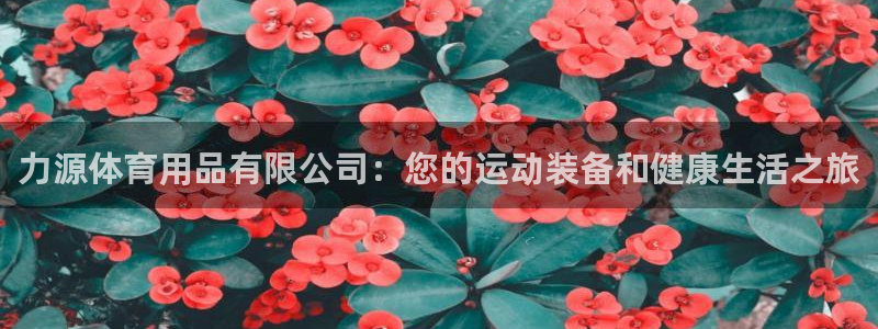 欧陆娱乐登录官网下载：力源体育用品有限公司：您的运动