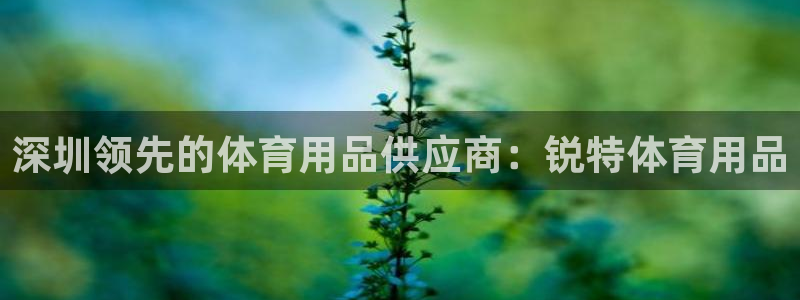 欧陆娱乐登录测速怎么关闭：深圳领先的体育用品供应商：